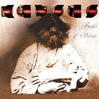 Hope Once Again - Kansas