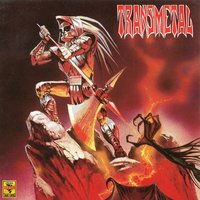 Last Days Shadow - Transmetal