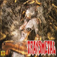 Ángel Enfermo - Transmetal