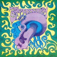 Sacred Mushrooms