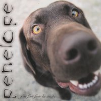 Jean D. Rangé - Penelope