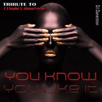 You Know You Like It - Flash Ki, DJ Danerston