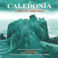 Home - Enter The Haggis
