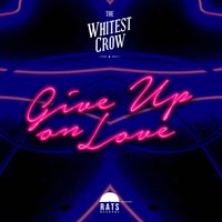 Give up on Love - The Whitest Crow