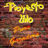 Holla! - Proyecto Uno