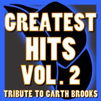 To Make You Feel My Love - Country Hits