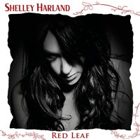 In the Dark (As Heard in Omega Ladymatic 2013) - Shelley Harland