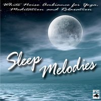 Healing Flute Dreams - Sleep Melodies