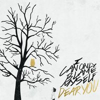I Can Only Blame Myself - Dear You