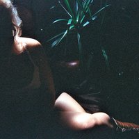 N.M.S.S. - Elvis Depressedly