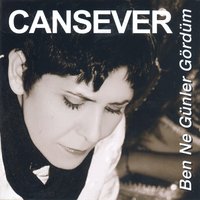 Saygı Duyarım - Cansever