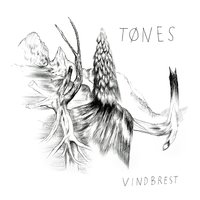 Dråba i sjøen - Tønes