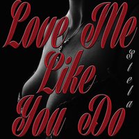 Love Me Like I Do - SteLa