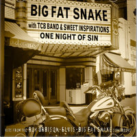 Suspicious Minds - Big Fat Snake