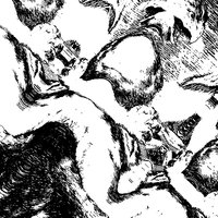 Dogs On Acid
