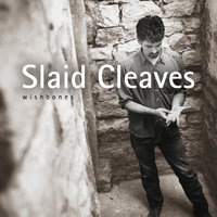 Borderline - Slaid Cleaves