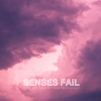 Wounds - Senses Fail
