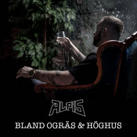 Härifrån - Alpis, DC Grimsta, Finess