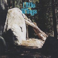 I Won't Be Burned - Little Wings