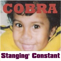 Look 2 Me 4 Approval - Cobra