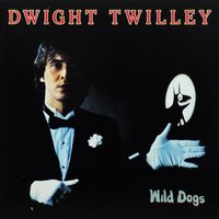 Dwight Twilley