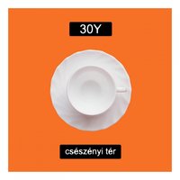 Defender - 30Y