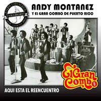 Vagabundo - Andy Montanez, El Gran Combo De Puerto Rico