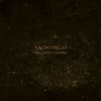 Relato de un Error - Nacho Vegas
