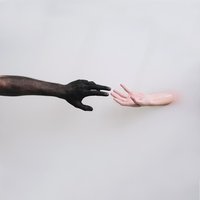 Admission - Limbs
