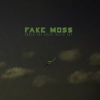 In the Car - Fake Moss, Karin My