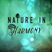 Feathers - Sleep Sounds Of Nature