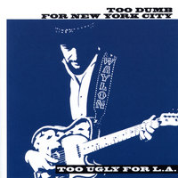 Didn't We Shine - Waylon Jennings