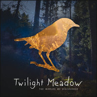 Never Ever Ever - Twilight Meadow