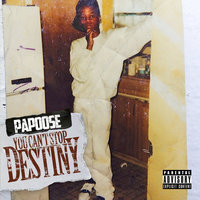 Everything To Gain - Papoose