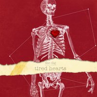How Can You Trust a Feeling - The Dig