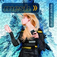 Black Dog - Mesh