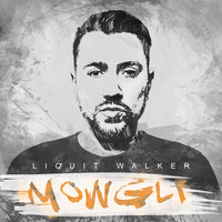 Fels in der Brandung - Liquit Walker