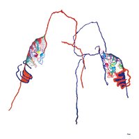 Next to Me - Otto Knows, Pingpong