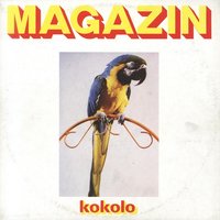Šašavo Moje - Magazin