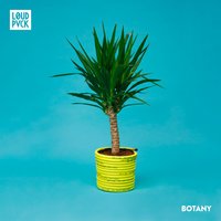 Lit - Curtis Williams, LOUDPVCK