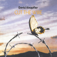The Hurting - David Knopfler