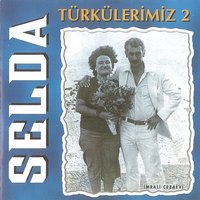 İnce İnce Bir Kar Yağar - Selda Bağcan