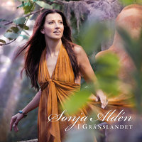 Innan jag släcker lampan - Sonja Alden
