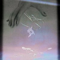 Cicada - Belle Mare