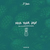 Need Your Love - JT Soul