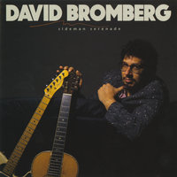 Long Tall Mama - David Bromberg