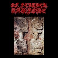 Pious Abnormality - Of Feather And Bone