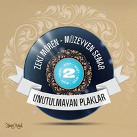 Kimseye Etmem Şikayet Ağlarım Ben Halime - Müzeyyen Senar