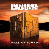 One In A Million - Drumsound & Bassline Smith, Fleur