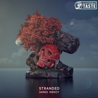 Stranded - James Mercy